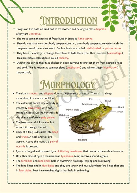 Frog Class 11th NCERT CBSE NEET biology notes | PDF