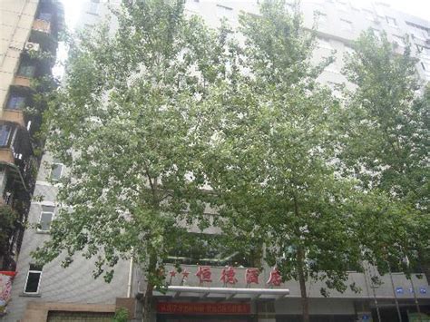 ZHEHAI HENGDE HOTEL (Chengdu) - Hotel Reviews & Photos - Tripadvisor