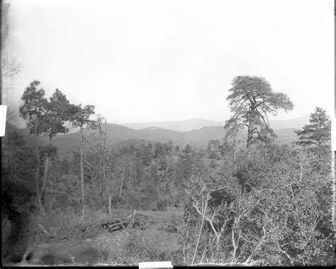 Image result for History Blog Post Example