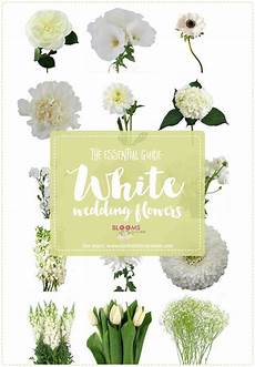 Names Of White Flowers For Wedding by White Wedding Flowers Guide Types Of White Flowers Names Names Of White Flowers For Wedding