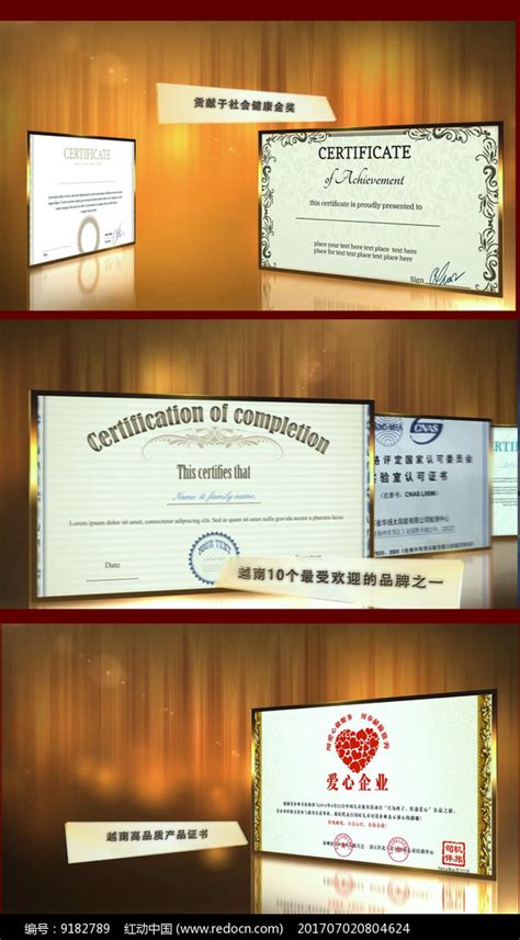 证书展示视频AE模版下载_红动中国