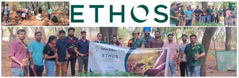 EcoEmpowerment: Ethos Life's Urban Forest for Employee Engagement ...