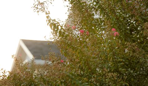 Our Location | Geo. J. Carroll & Son Funeral Home