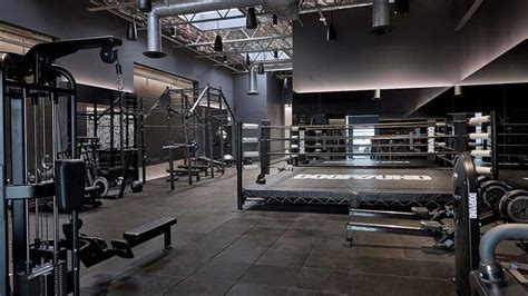 The Best Luxury Gyms in LA: Where Fitness Meets Exclusivity