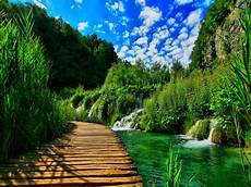 Nature Picture Hd by 3d Hd Nature Wallpapers For Mobile Wallpaper Cave Nature Picture Hd