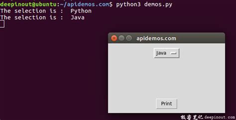 Image result for Tkinter One Select Option GUI