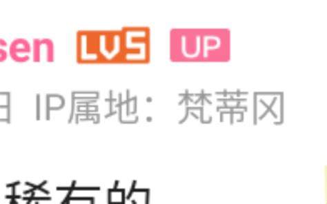 B类IP地