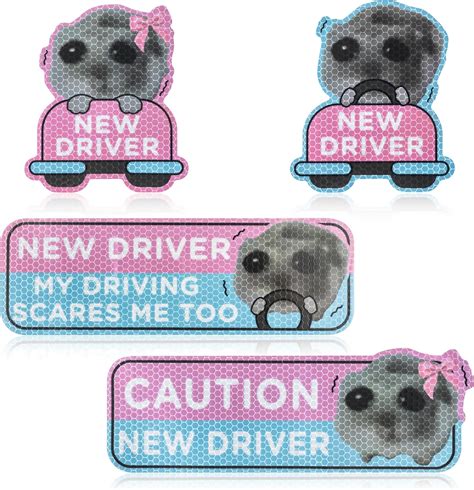 Amazon.com: CNhoqc New Student Driver Magnet - 4pcs Shivering Hamster ...