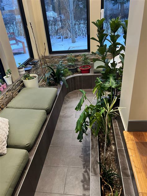 Indoor plants that can handle 15f to 85f? : r/IndoorPlants