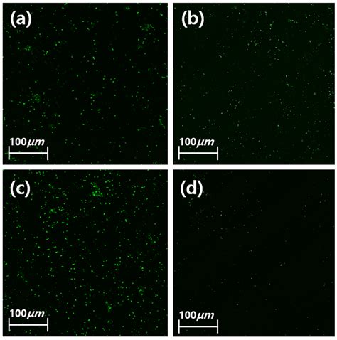 Antibacterial Evaluation of Zirconia Coated with Plasma-Based Graphene ...