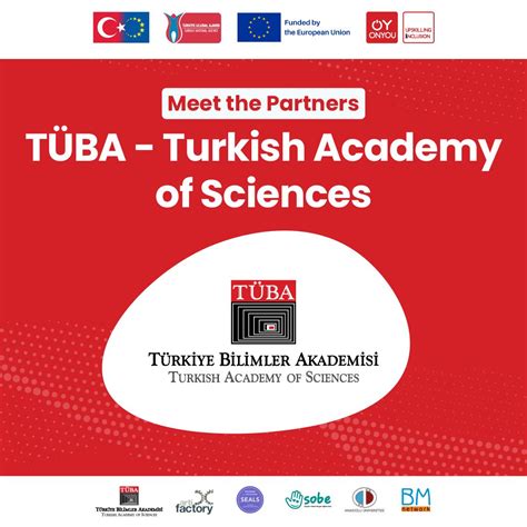 Project Inclusion Module 10 的图像结果