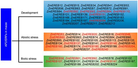 Advances of Apetala2/Ethylene Response Factors in Regulating ...