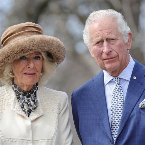 King Charles and Queen Camilla beam in new portraits shared to mark ...