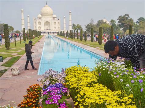 Trump's Taj visit: Royal graves get mud pack, chandelier refurbished in ...