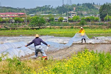 【与春天撞个满怀 打卡最美春景】广西桂林春耕春播忙-国际在线