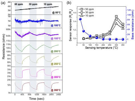 Long-Term Stability Test for Femtosecond Laser-Irradiated SnO2-Nanowire ...