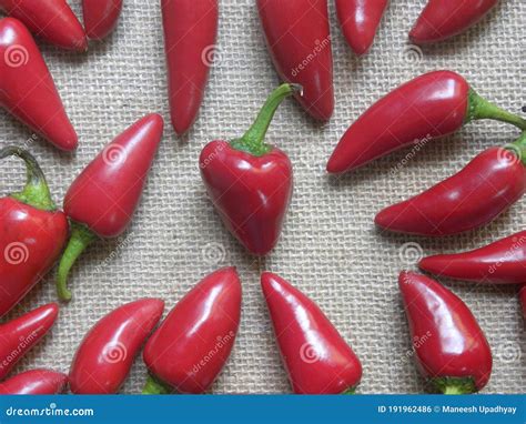 Red Fresno chili pepper stock photo. Image of chillies - 191962486