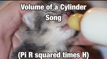 Image result for Volume Math Problems Song
