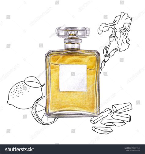Perfume Bottle Illustration