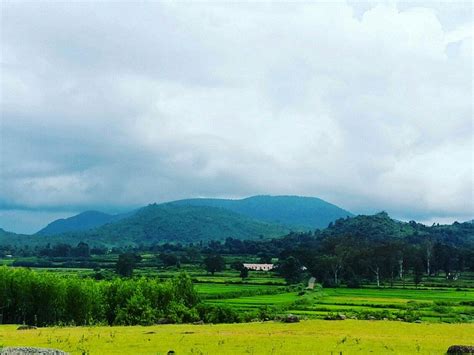 Paderu Tourism: All You Need to Know Before You Go (2025)