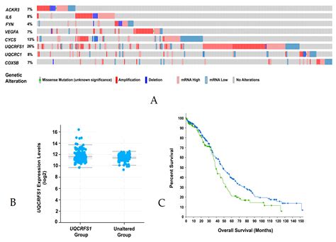 GNAi2/gip2-Regulated Transcriptome and Its Therapeutic Significance in ...