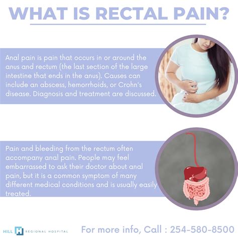 PPT - What is rectal pain PowerPoint Presentation, free download - ID ...