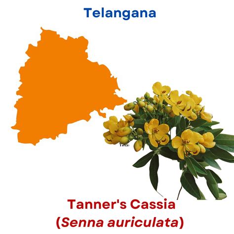 ICAR-Directorate of Floricultural Research
