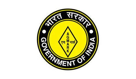 Trademark Protection: What Does a Trademark Protect?