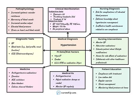 Nursing Concept Map (FREE Template) - NurseShip