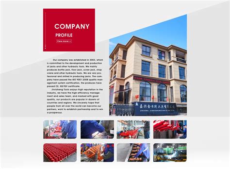 Company Overview - Jiaxing Jinrisheng Tools Co., Ltd.