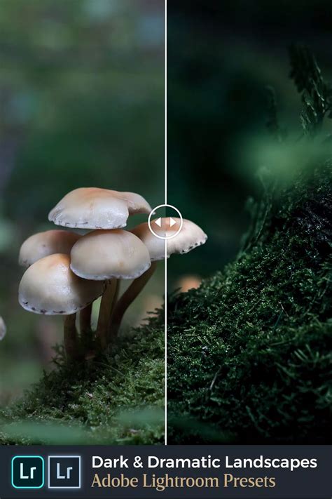 Best 41+ Lightroom Nature Presets Collection