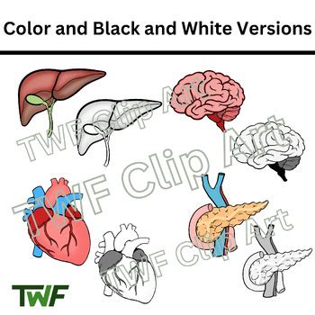 Biology Clip Art 的图像结果