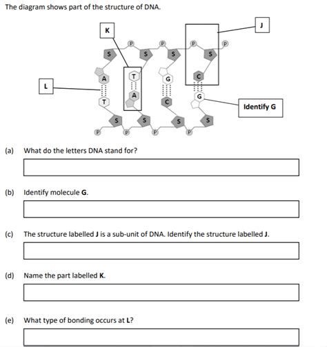 Forensic Science DNA Worksheet 的图像结果