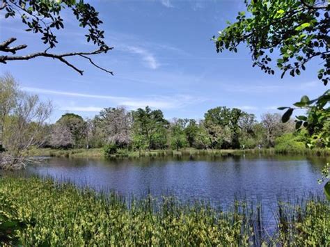 Flatonia, TX Real Estate - Flatonia Homes for Sale - realtor.com®