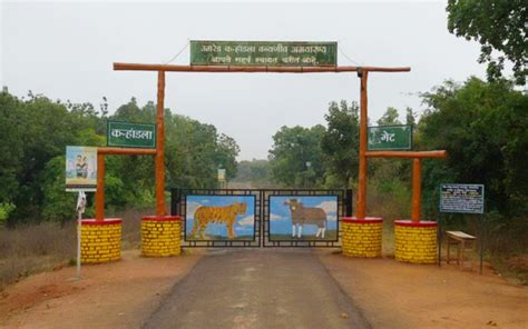 There Is A Stranger Things Themed Kali Pujo Pandal In Moore Avenue That ...