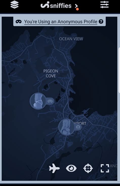 Sniffies Local Map 的图像结果