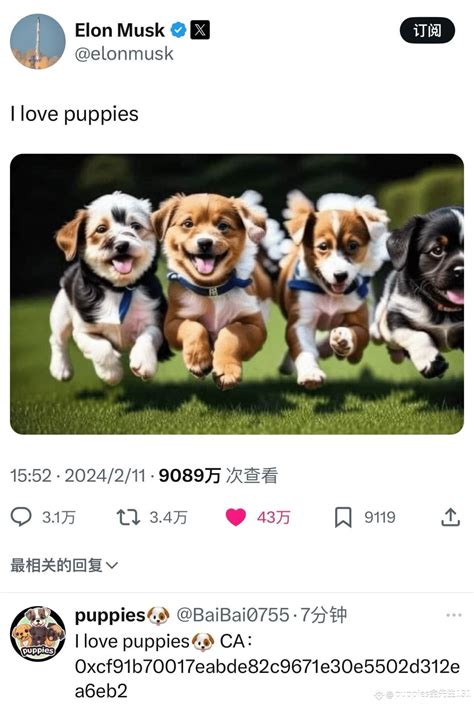 Storm Warning! Next week, the U.S. economic data "Super Week | puppies金 ...