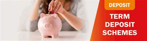 Term Deposit Scheme – Bharati Sahakari Bank Ltd, Pune