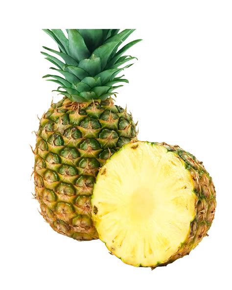 Pineapple Picture for Kids 的图像结果