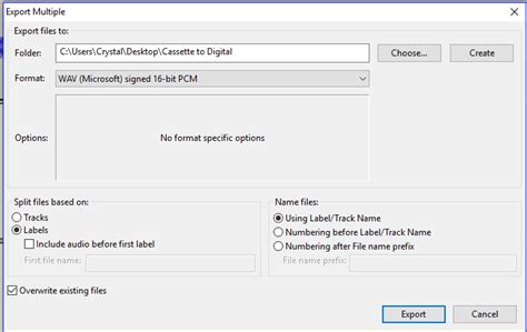Image result for Audacity Recording Multiple Tracks