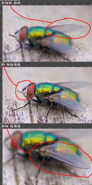 Image result for GIMP Stacking Tutorial