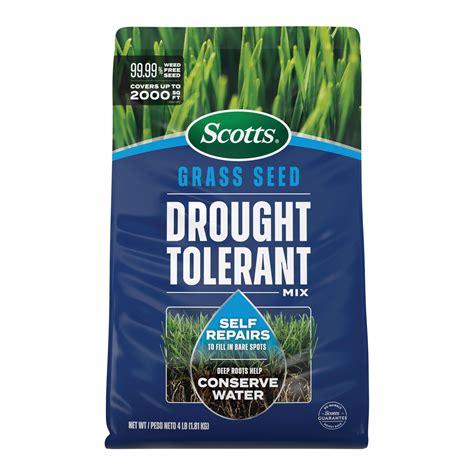 Amazon.com : Scotts Grass Seed Drought Tolerant Mix, Kentucky Bluegrass ...