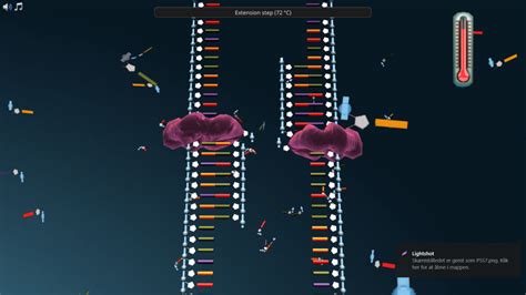 Biochemistry Lab Experiments 的图像结果