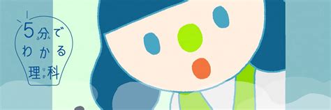 Image result for Training Lesson Plan Example