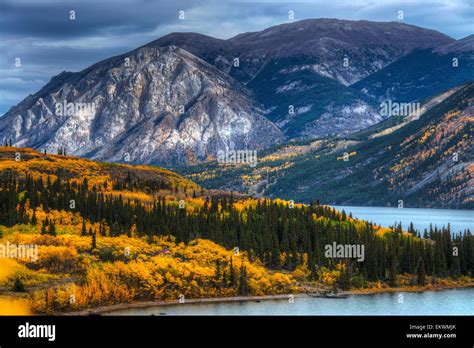 Image result for Basic Navigation HTML Notepad