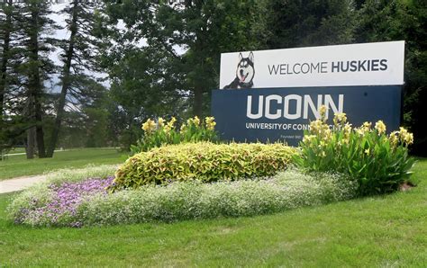 What to know about UConn's acceptance rate and decision date