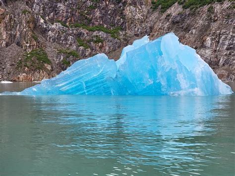 Alaska Luxury Tours (Juneau) - 2022 What to Know Before You Go (with ...