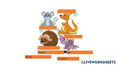 Animal Sports Worksheet 的图像结果