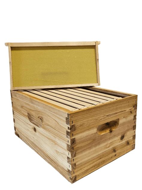 Wax Dipped 10 Frame Deep Hive Body & Frames | Lappe's Bee Supply