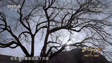 《山河岁月》第三十九集 转战陕北,历史,中国历史,好看视频